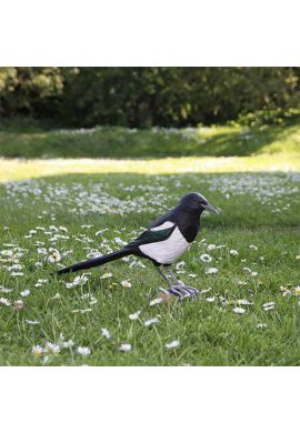 Decobird pie bavarde