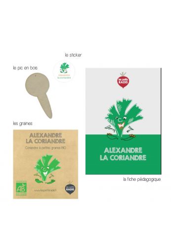 Mini kit de graines BIO d'Alexandre la coriandre