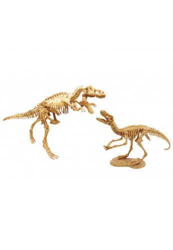Dino dig Tyrannosaure et velociraptor