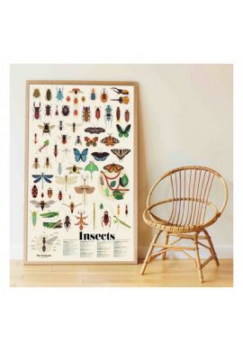 Poster découverte avec stickers insectes
