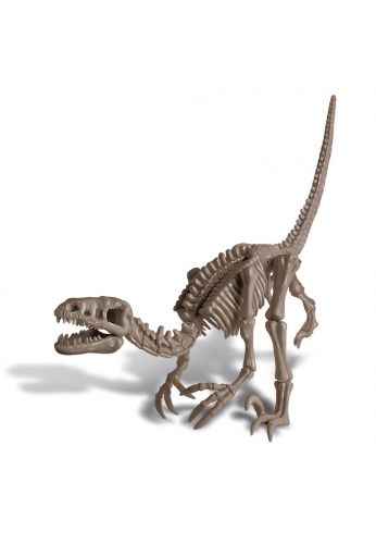 Kit pour déterrer un Dinosaure Velociraptor