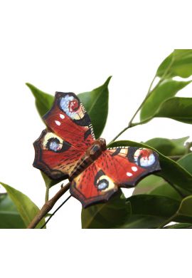 Magnet papillon paon du jour
