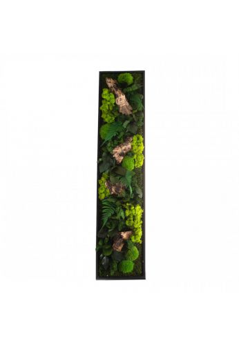 Tableau végétal CANOPEE Panoramic 40 x 140 cm