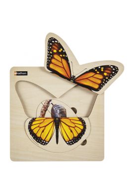 Puzzle cycle de vie -papillon