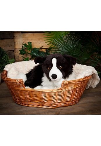 Peluche géant Border Collie 60 cm