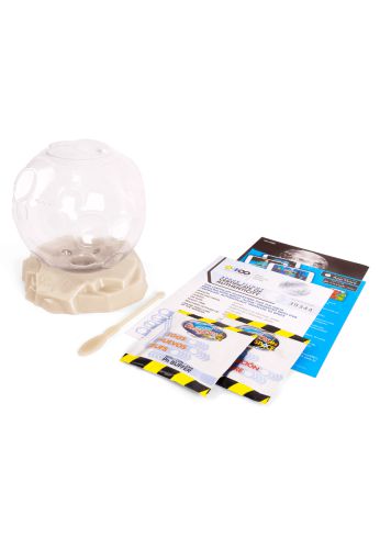 Aqua dragons Astro pets kit