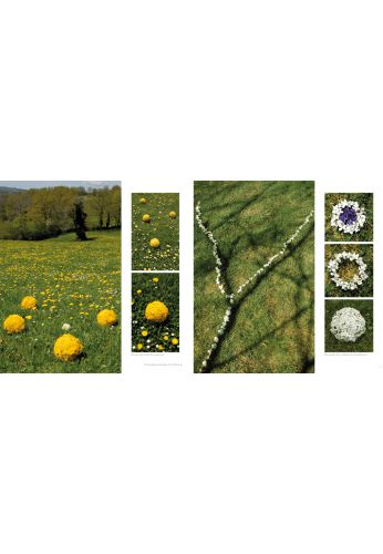 Land art de printemps