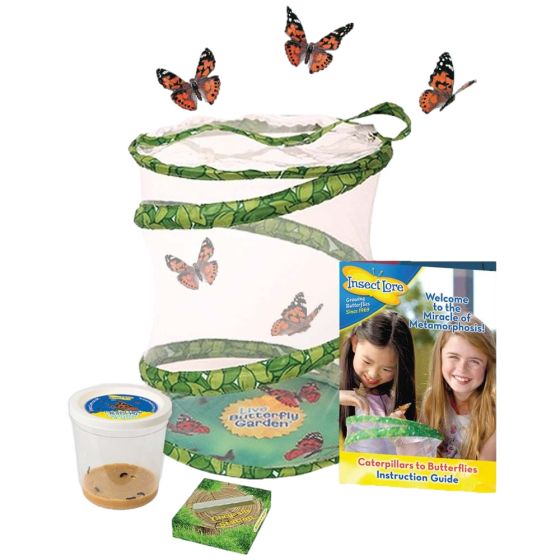 Kit d'élevage de papillon, modèle garden