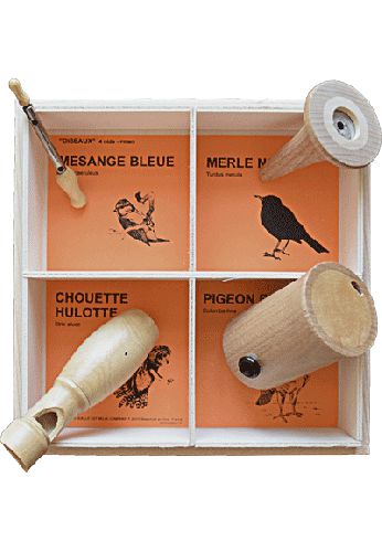 Coffret bois 4 appeaux - Merle-Hulotte-Mésange bleue-Pigeon