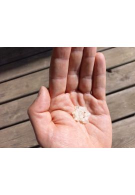 Nématodes mouches des terreaux en micro-capsules par 200