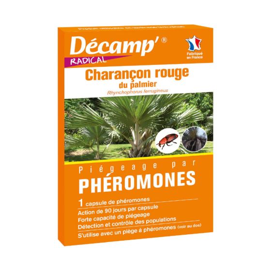Phéromone contre le charançon rouge du palmier (1 capsule)
