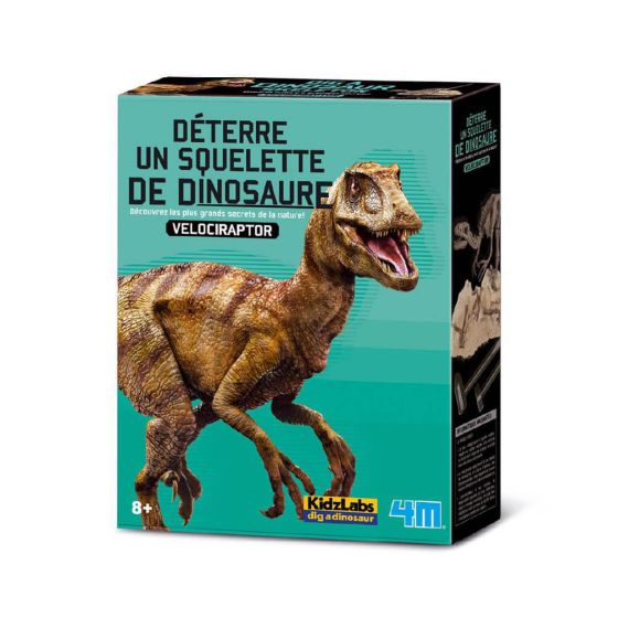 Kit pour déterrer un Dinosaure Velociraptor