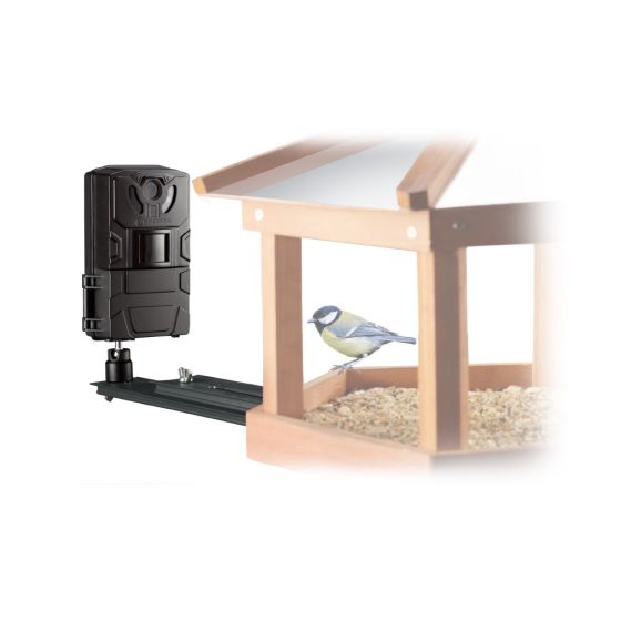Caméra pour oiseaux / petits animaux