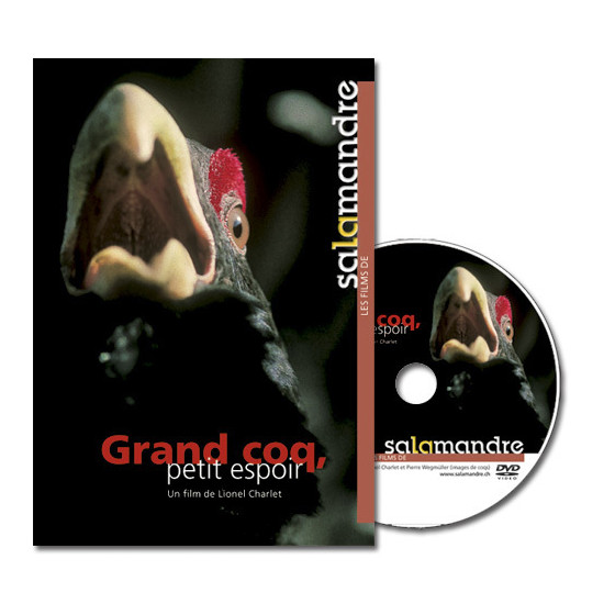 DVD grand coq