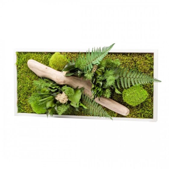 Tableau végétal gamme nature, rectangle panoramique 30x 60 cm