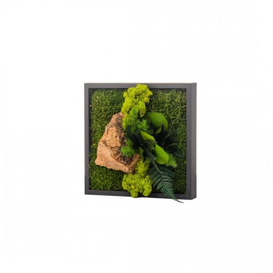 Tableau végétal CANOPEE Mono 22 x 22 cm
