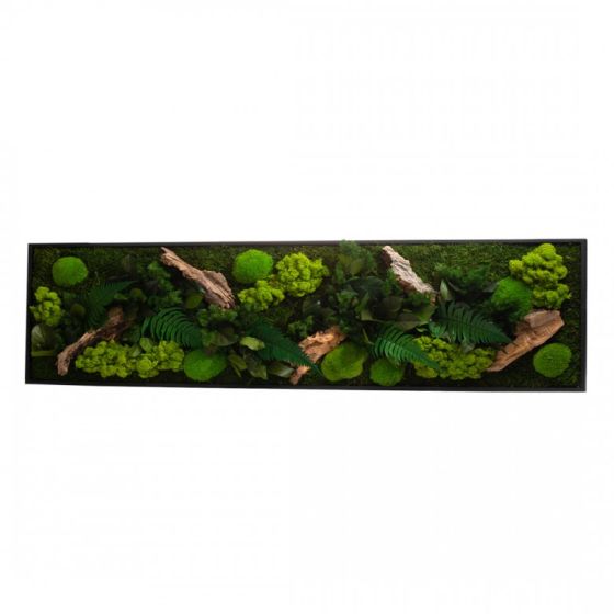 Tableau végétal CANOPEE Panoramic 115 x 25 cm