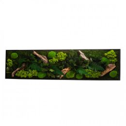 Tableau végétal CANOPEE Panoramic 40 x 140 cm
