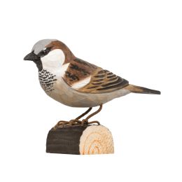 Decobird Moineau domestique