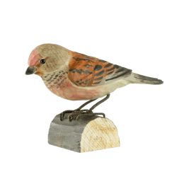 Décobird Linotte mélodieuse