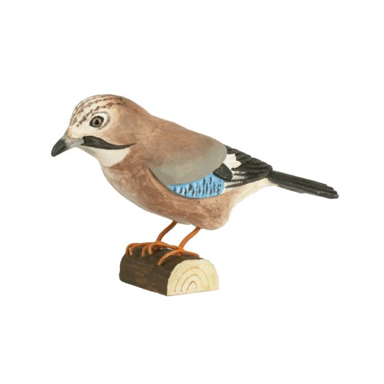 Décobird geai des chênes Décobird geai des chênes