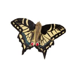 Magnet papillon Machaon