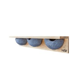 Nichoir à hirondelles de fenêtre, haute qualité, TRIPLE