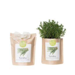 Kit bio prêt à pousser Thym