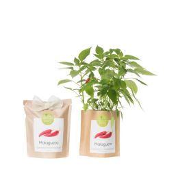 Kit bio prêt à pousser Piments