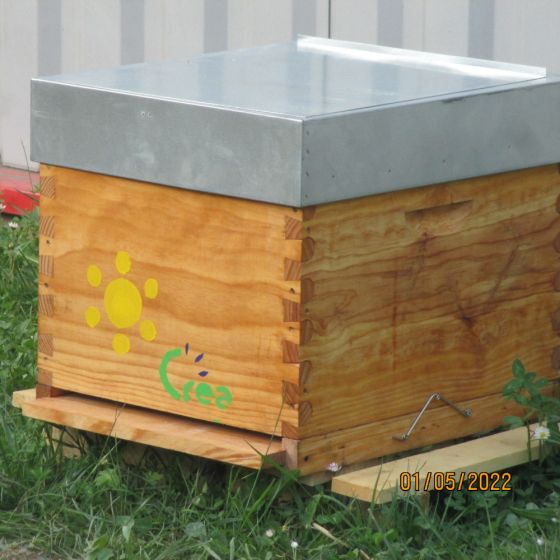 Ruche complète à tenons mortaise