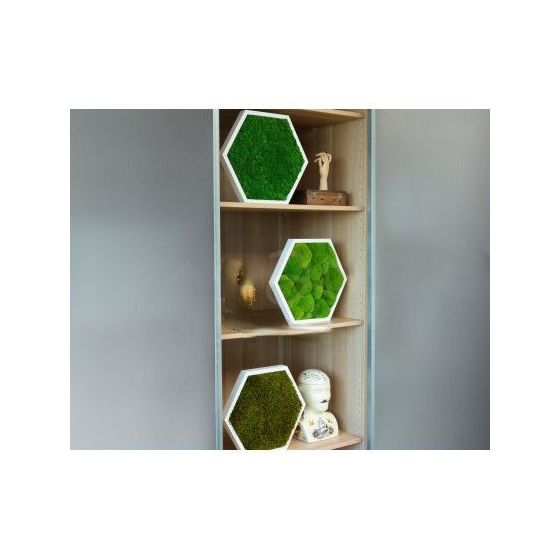 Tableau stabilisé hexagonal lichen vert clair