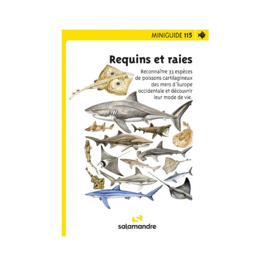 Miniguides 115 - Requins et Raies