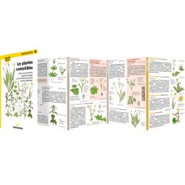 Miniguides 114 - Les Plantes Commestibles