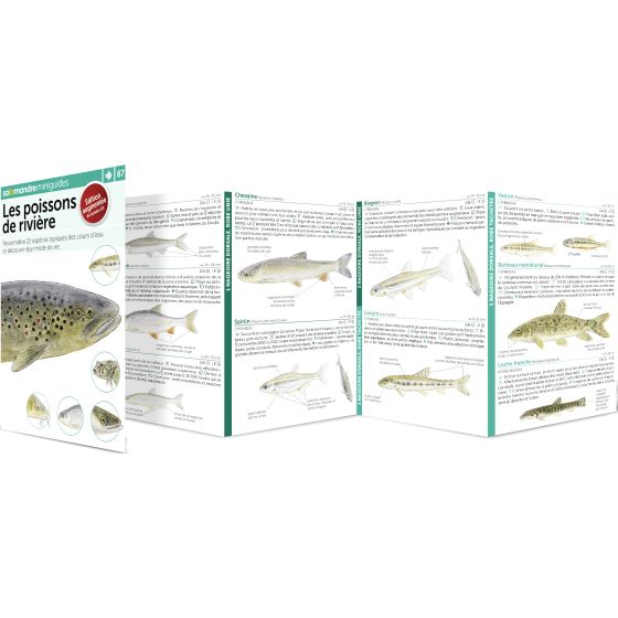 MINIGUIDE 87 LES POISSONS DE RIVIERES