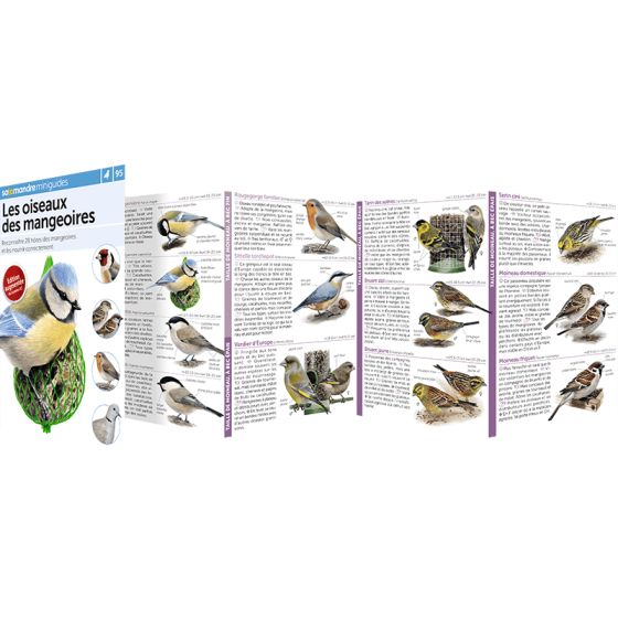 MINIGUIDE 95 OISEAUX DES MANGEOIRES