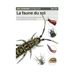 MINIGUIDE 81 LA FAUNE DU SOL