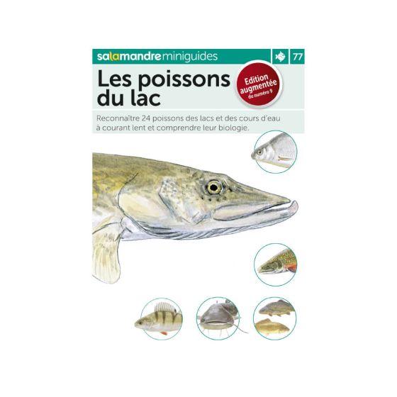 MINIGUIDE 77 LES POISSONS DU LAC