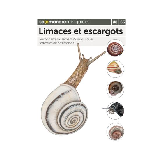 MINIGUIDE 66 LIMACES ET ESCARGOTS