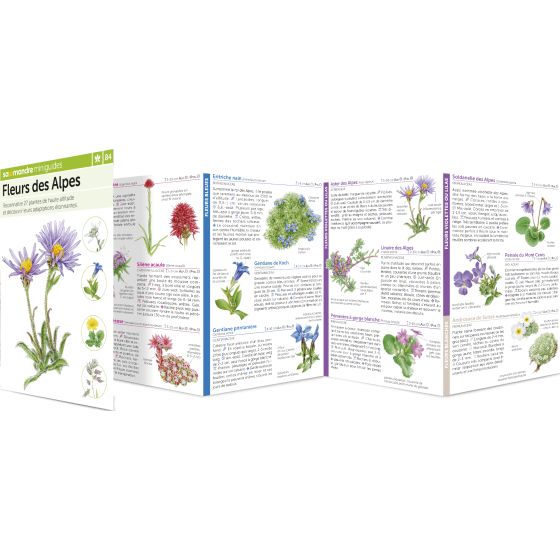 MINIGUIDE 84 FLEURS DES ALPES