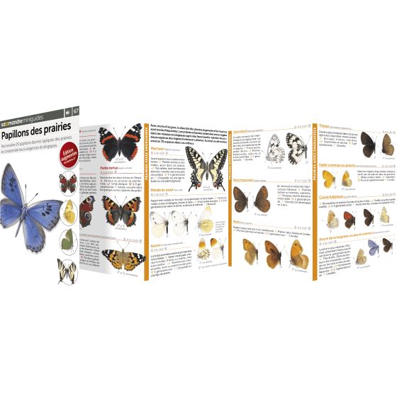 MINIGUIDE 67 PAPILLONS DES PRAIRIES
