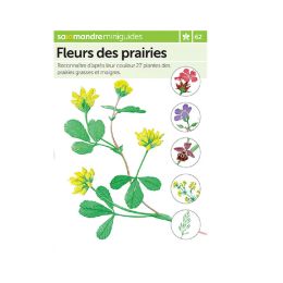 MINIGUIDE 62 FLEURS DES PRAIRIES