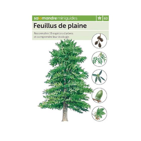 MINIGUIDE 60 FEUILLUS DE PLAINE