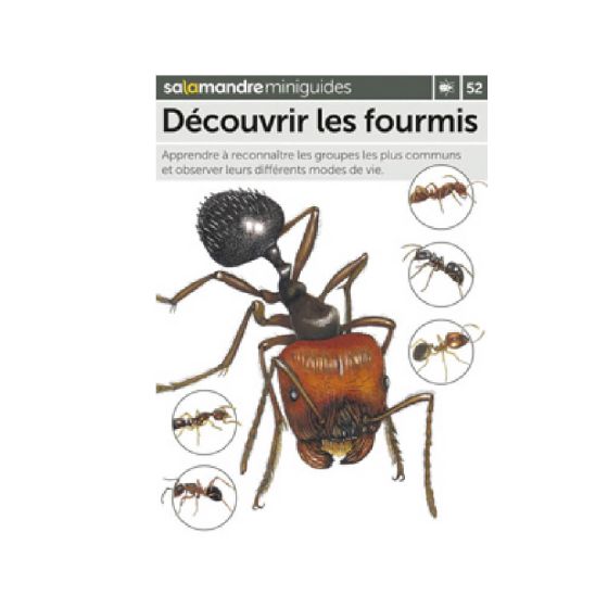 MINIGUIDE 52 DECOUVRIR LES FOURMIS