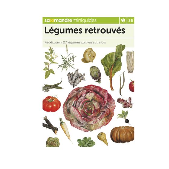 MINIGUIDE 36 LEGUMES RETROUVES