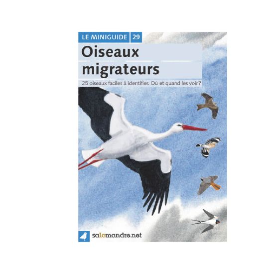 MINIGUIDE 29 OISEAUX MIGRATEURS