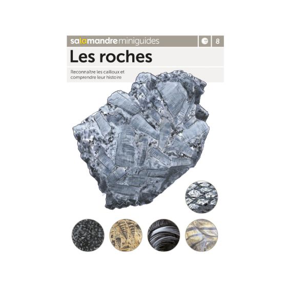 MINIGUIDE 8 LES ROCHES