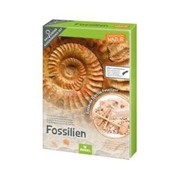Kit de fouille de fossiles