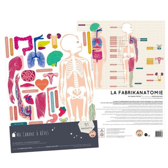 Magnets Le Corps Humain FR