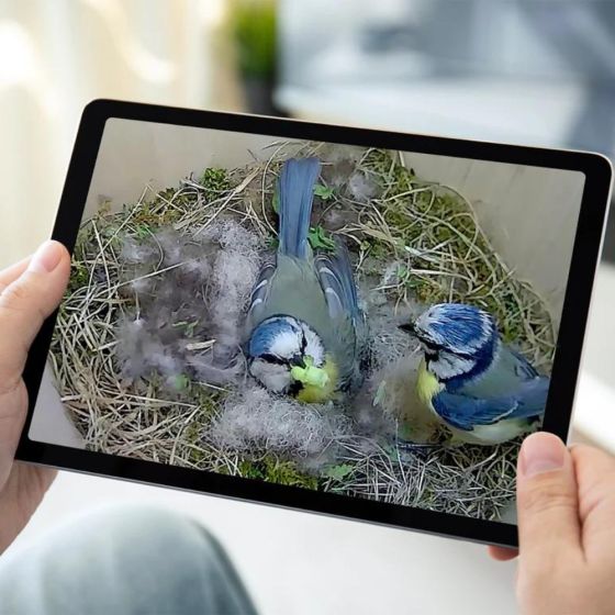 Caméra wifi pour Nichoir à oiseaux (avec cable 10 m inclus)