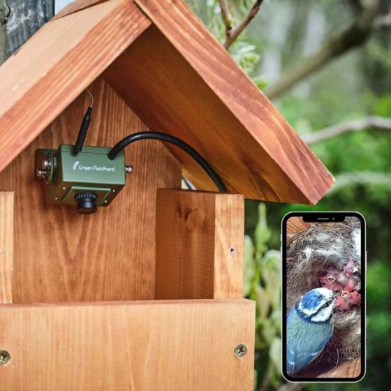 Caméra wifi pour Nichoir à oiseaux (avec cable 10 m inclus)